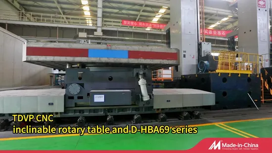 Fresatrice e foratrice per pavimenti CNC a doppia estremità D-Hba69